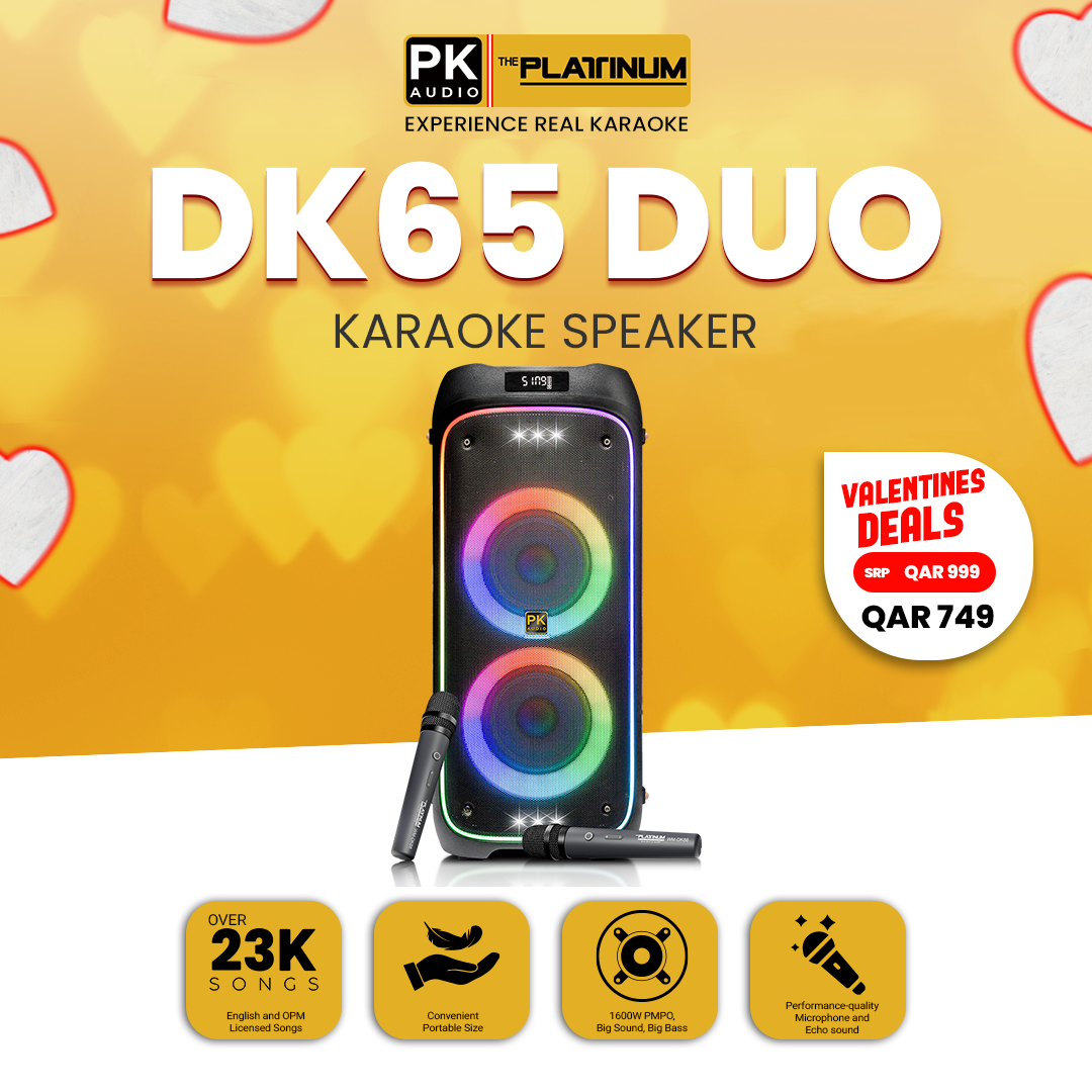 DK65 Duo Party Jukebox Karaoke Speaker