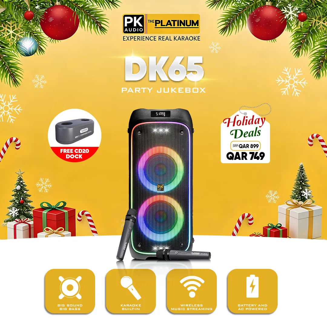 DK65 Duo Party Jukebox Karaoke Speaker