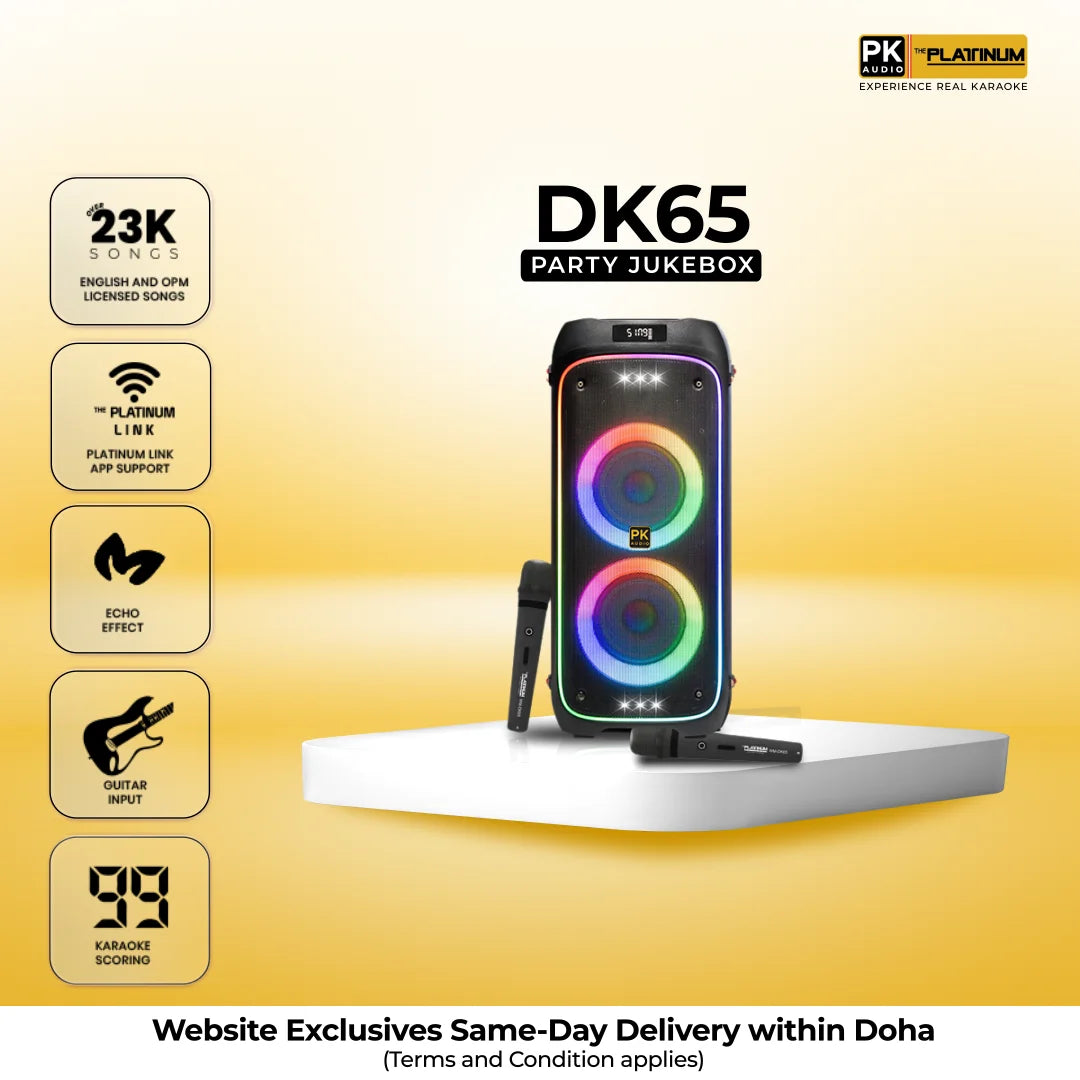 DK65 Duo Party Jukebox Karaoke Speaker