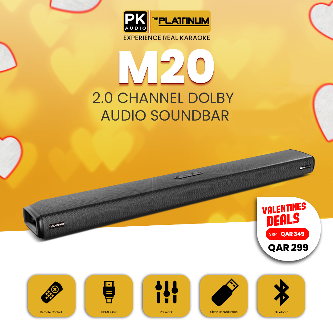 M20 2.0 CH Dolby Audio Soundbar