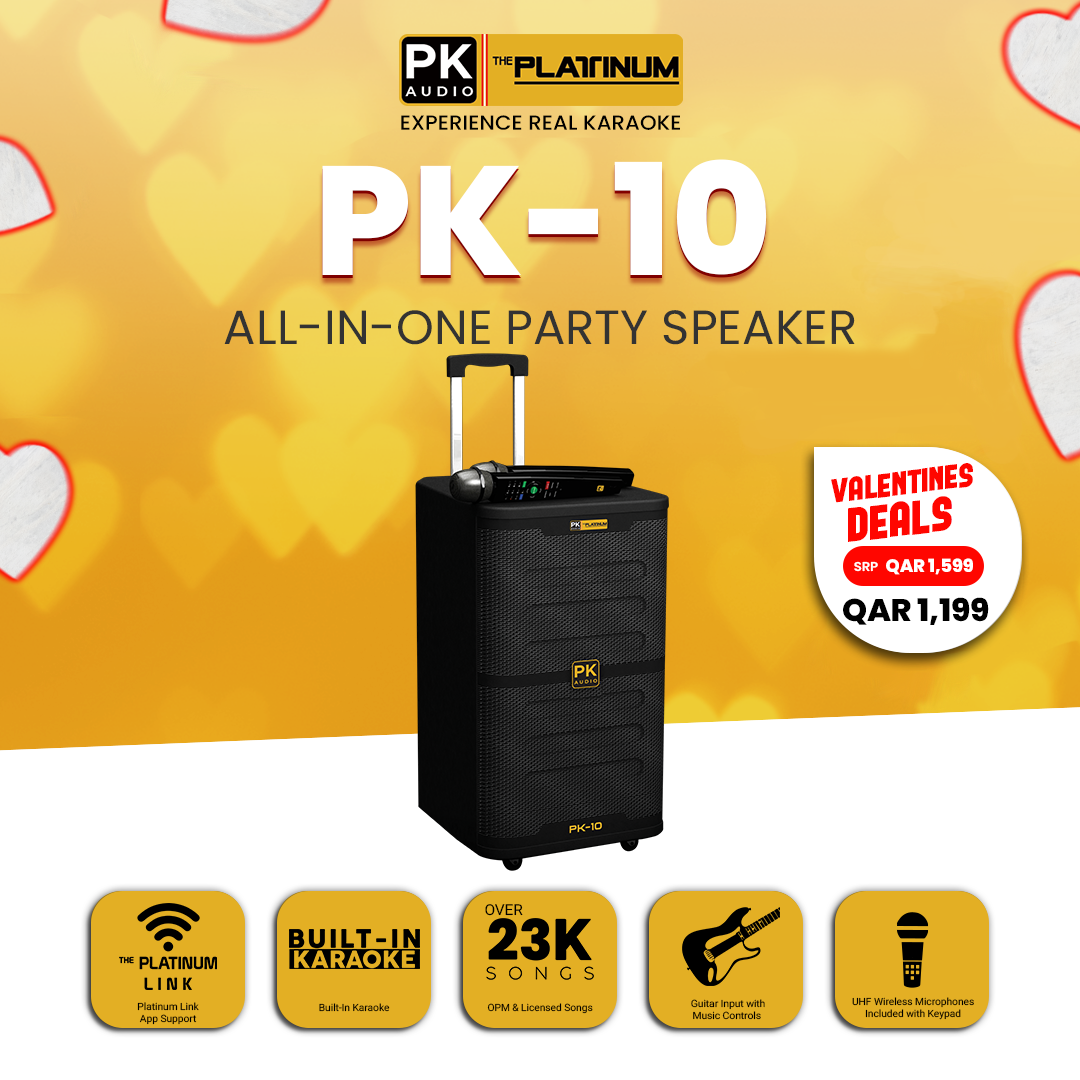 PK10 Built-in Karaoke Pro Party Jukebox