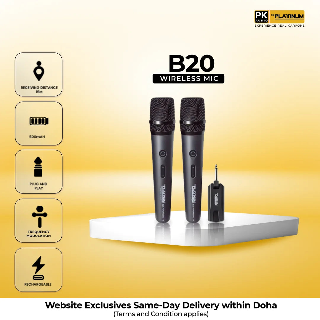 B20 Portable Wireless Microphone