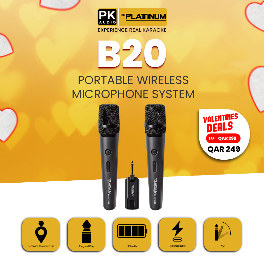 B20 Portable Wireless Microphone