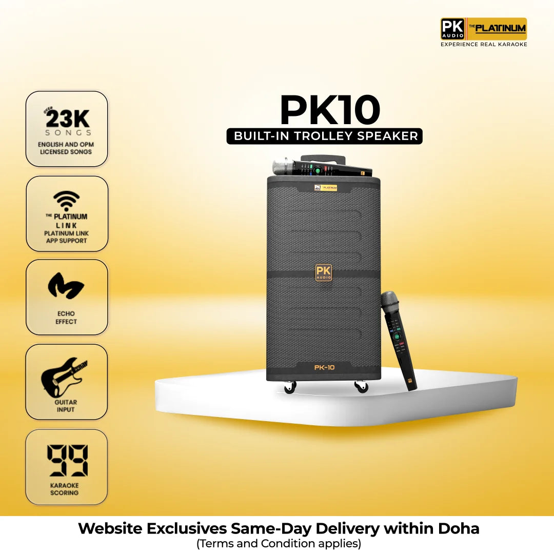 PK10 Built-in Karaoke Pro Party Jukebox
