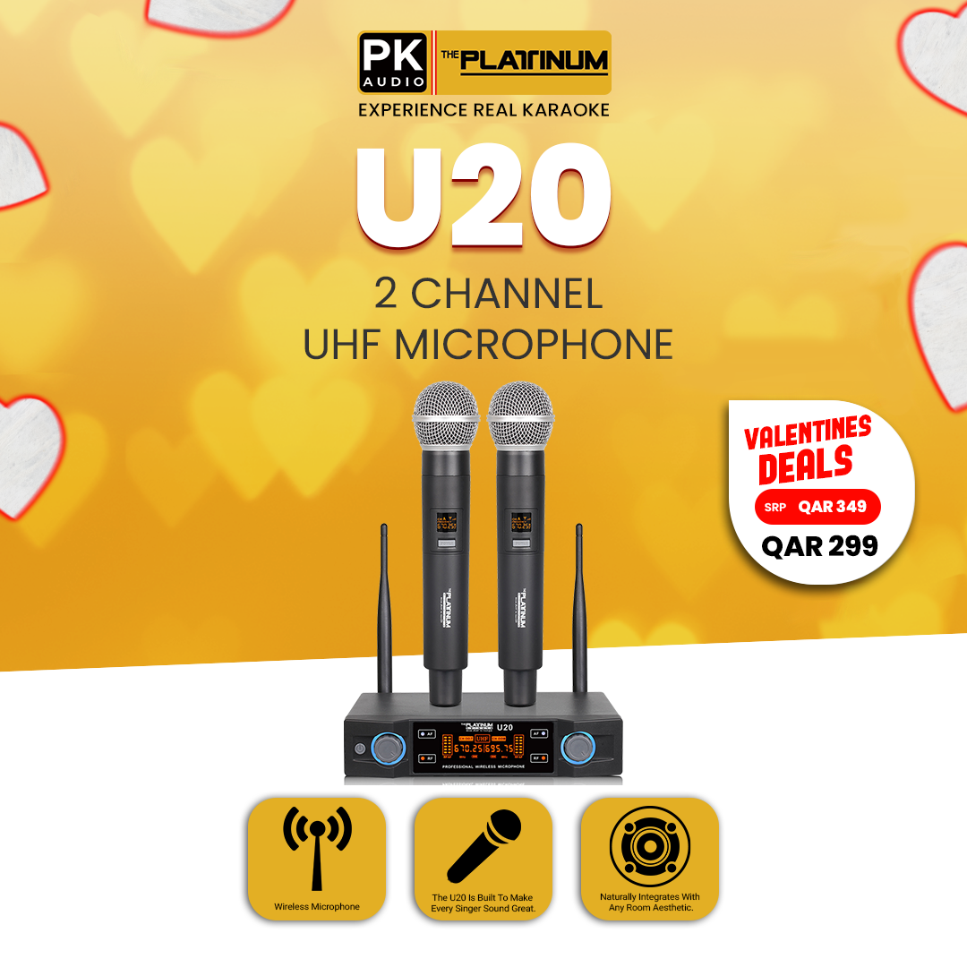 U20 Wireless Microphone